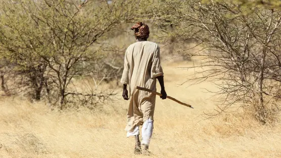 60 قتيلاً بانهيار منجم ذهب في السودان.. وبحث عن عالقين