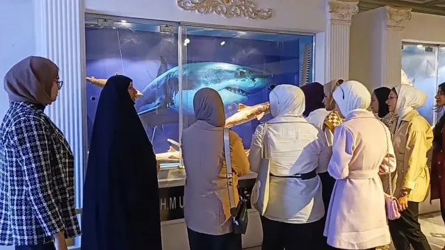 متحف التاريخ الطبيعي في البصرة.. ذاكرة بيئية توثق التنوع الإحيائي  في الجنوب