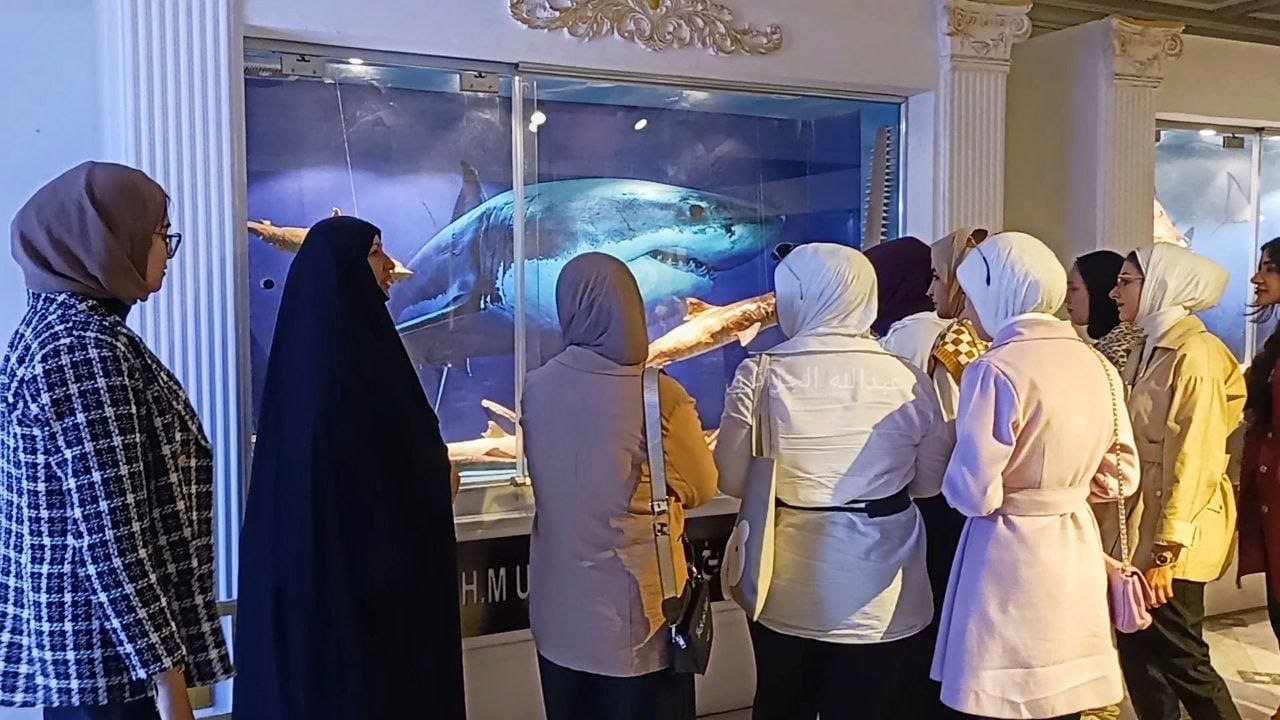 متحف التاريخ الطبيعي في البصرة.. ذاكرة بيئية توثق التنوع الإحيائي  في الجنوب