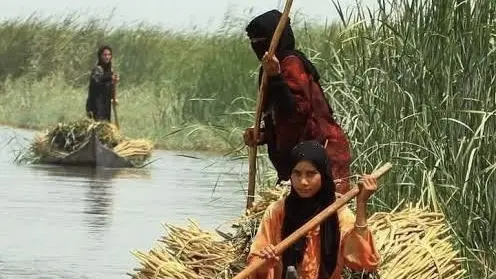 ثلاثة أفلام عراقية توثق حكاية الأهوار في مهرجان تورنتو السينمائي