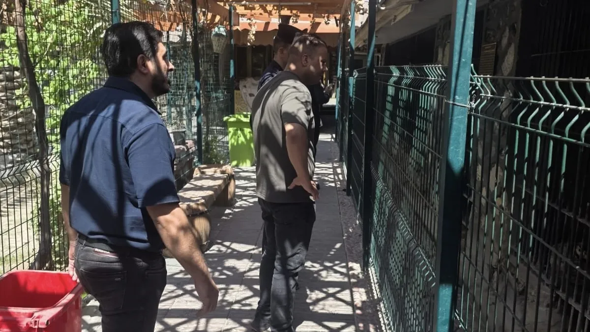 بيئة النجف الأشرف تنفذ جولات رقابية لمكافحة الاتجار بأن الحيوانات المهددة بالانقراض