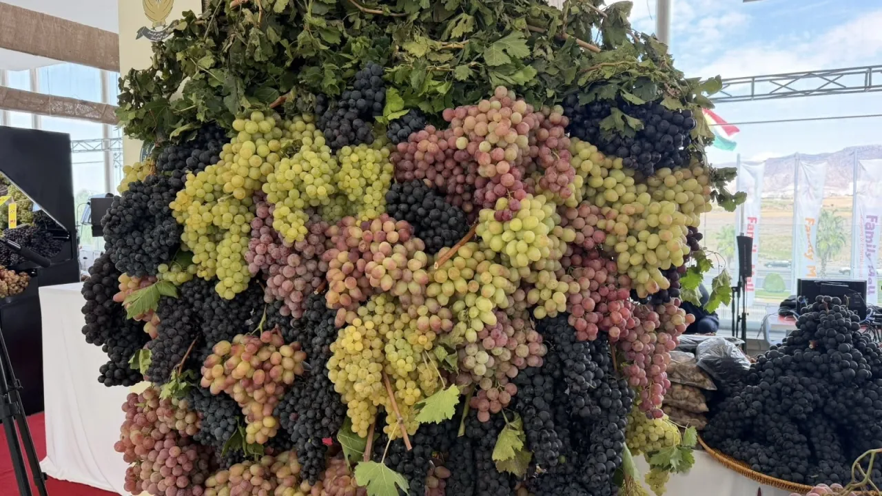 مێهرجانی ئانگۆر و عەسل لە دهۆک: 80 هەزار تۆن ئانگۆر و 300 تۆن عەسل