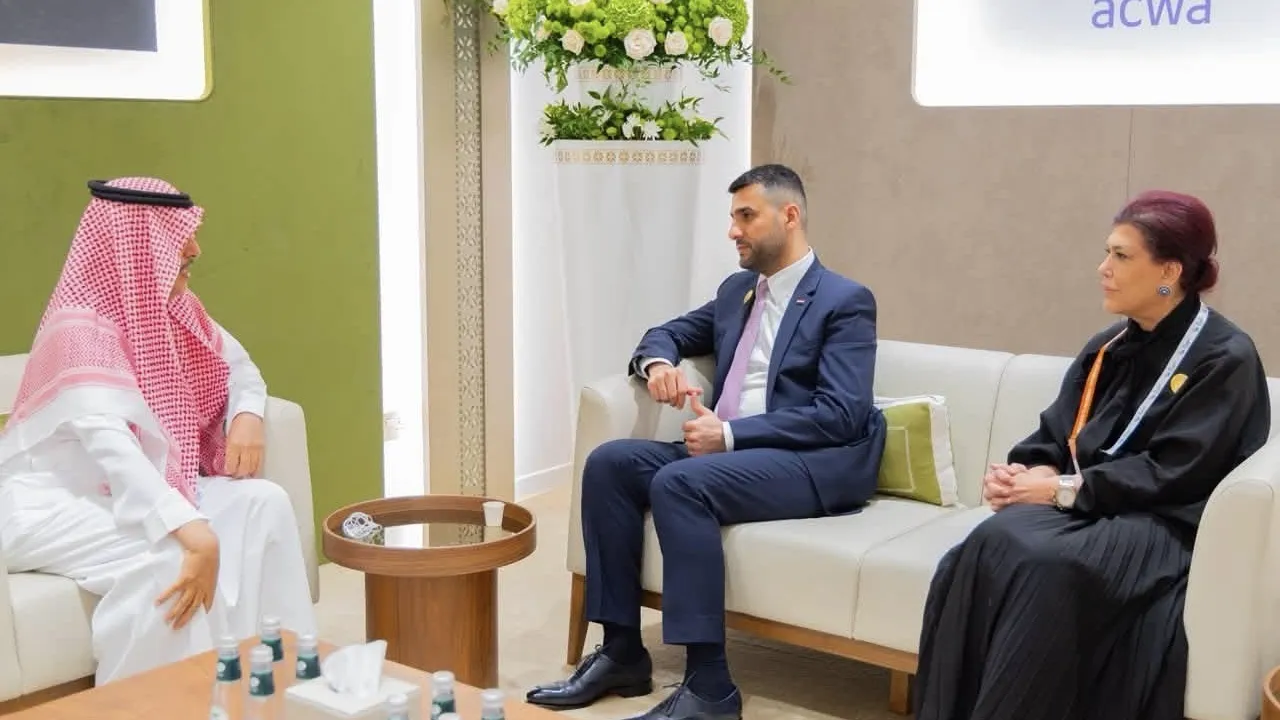 وزير الكهرباء يتباحث مع أكوا لسرعة تنفيذ محطة شمسية في النجف وزيادة سعتها