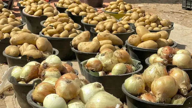 الزراعة تفتح استيراد البطاطا والطماطم والبصل وتوقف رسوم اللحوم