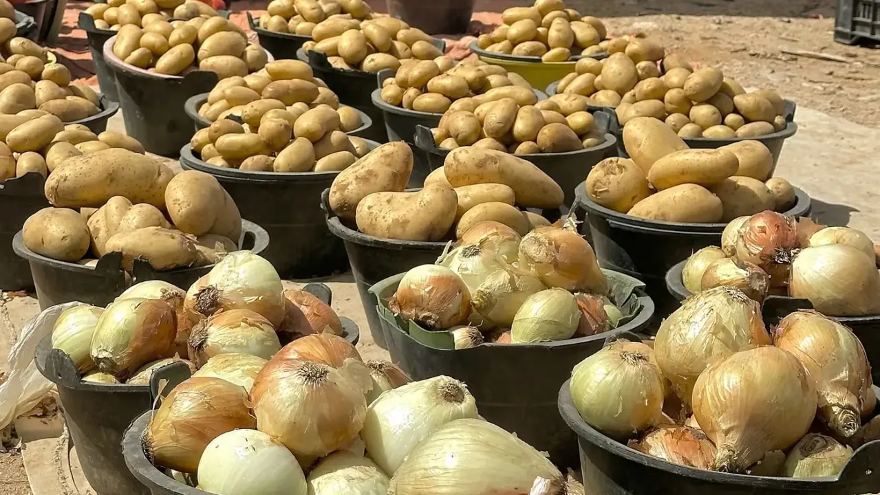 الزراعة تفتح استيراد البطاطا والطماطم والبصل وتوقف رسوم اللحوم