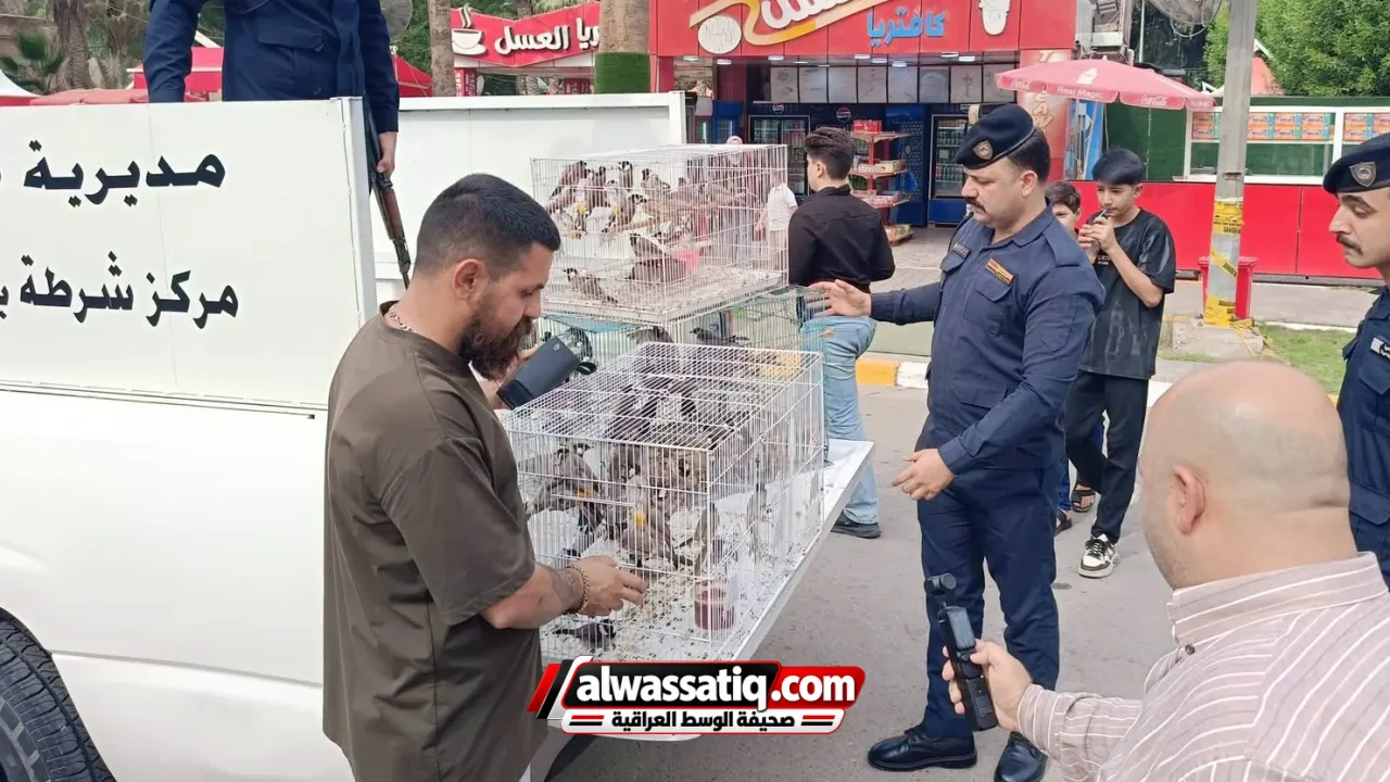 بيئة بغداد تعلن إطلاق 100 بلبل عراقي أبيض الخد بعد ضبطها في سوق الغزل